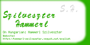szilveszter hammerl business card